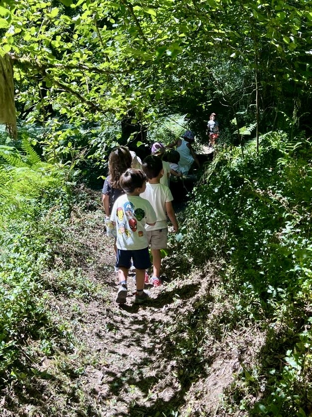 Actividades creativas